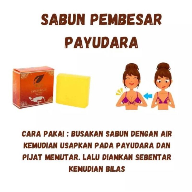 Minyak Bulus Pembesar Payudara