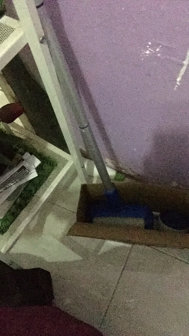 Kuas Roll Cat Dinding Rumah Paint Roller Pintal Facil Mollar