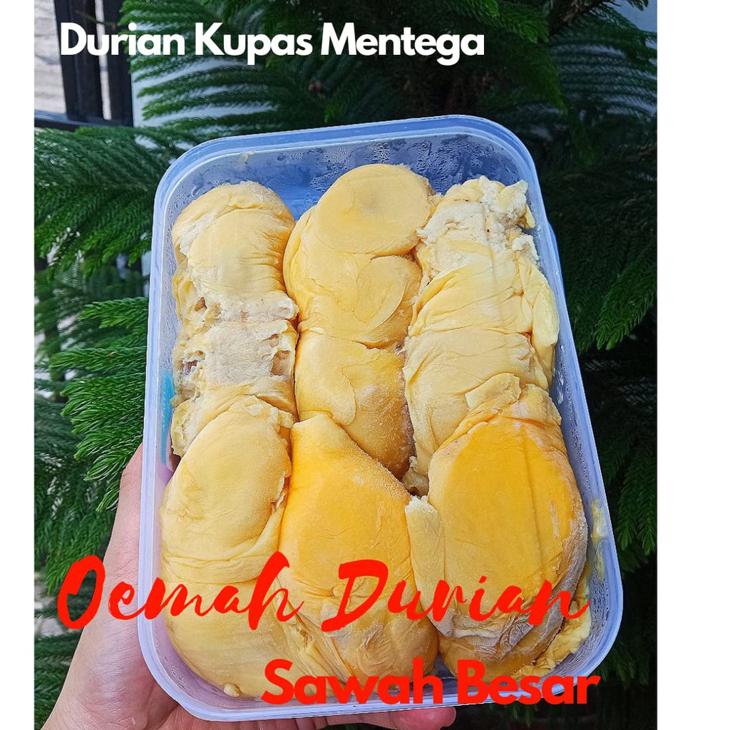 

DURIAN KUPAS , MONTONG, DAGING DURIAN BUAH SEGAR MAKANAN FROZEN