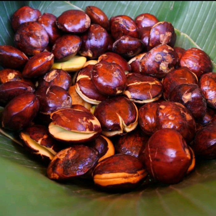 

JENGKOL SEPI - Grade B, 1kg