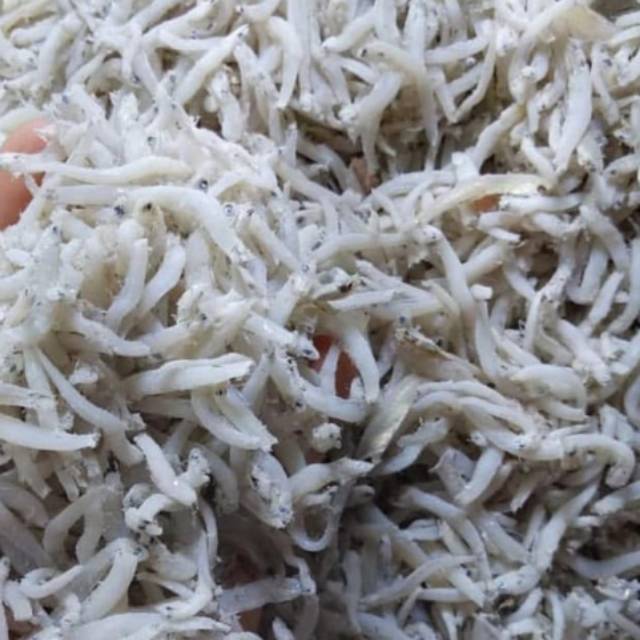 

Ikan Teri