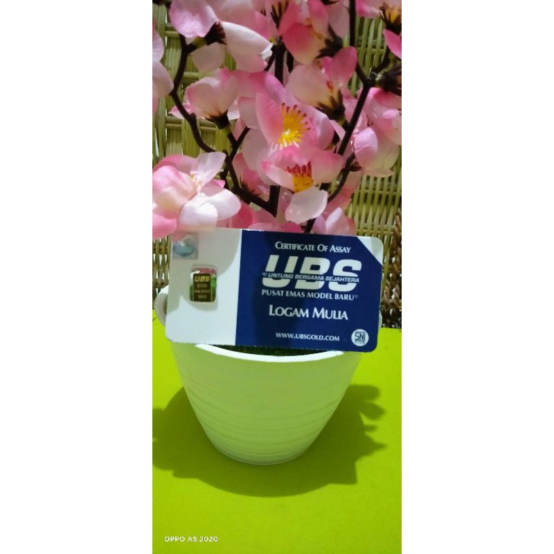 Souvenir UBS 0,5gram