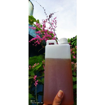 

madu multiflora madu murni