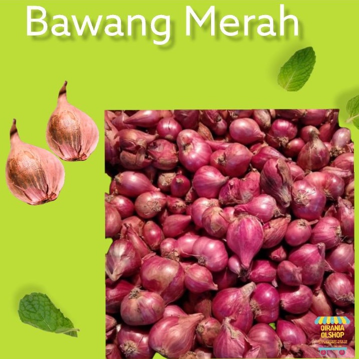 

Bawang merah