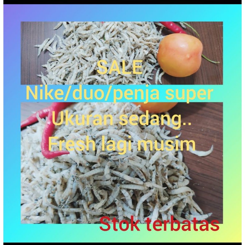 

SALE nike kering/ penja/ duo/ ikan kering/ ikan duang/ ikan seribu/ ikan khas sulawesi nikek fresh masih baru stok terbatas 1000gram