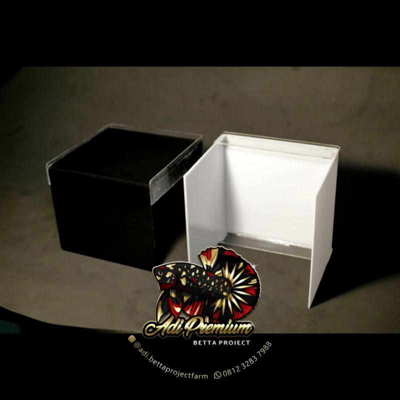 Stage Soliter Lelang Bisa Jadi Box Video Foto Cupang Acrylic