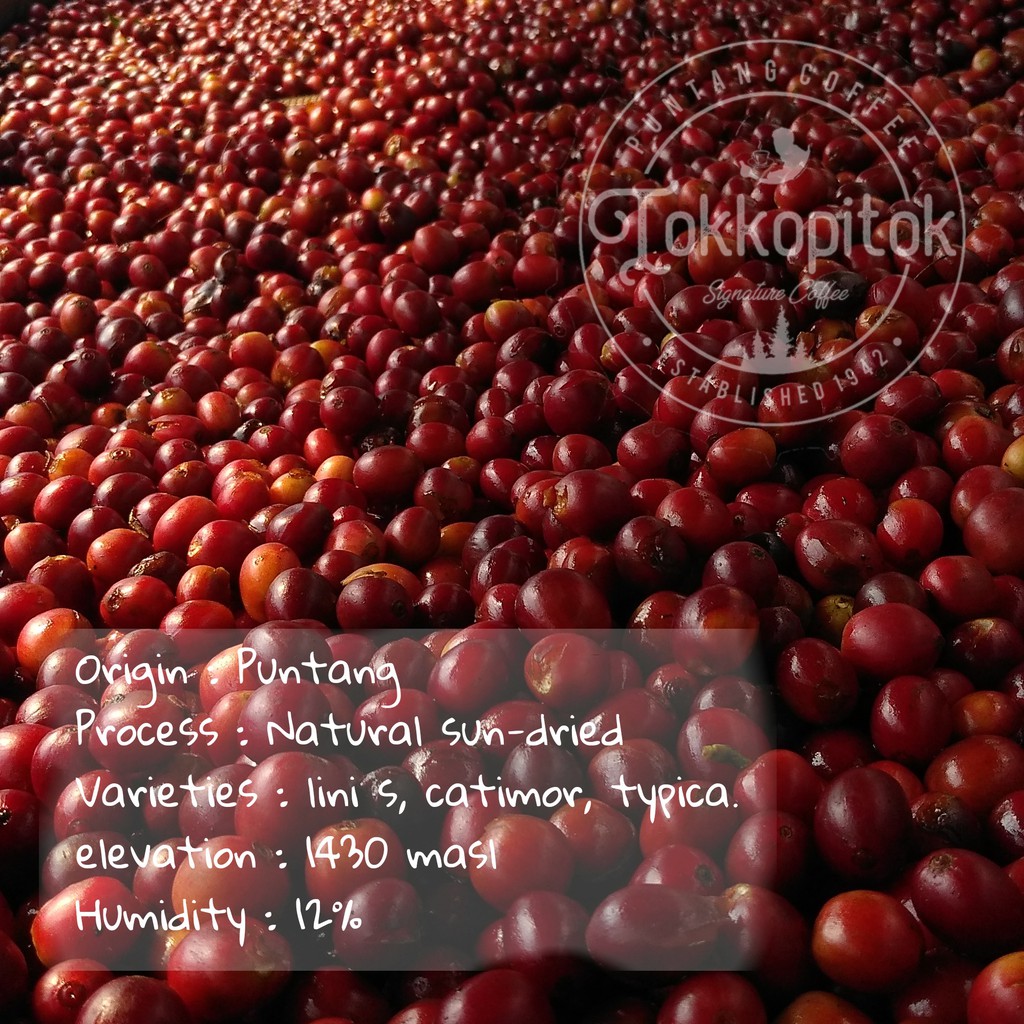 

Biji Kopi / Green Beans Arabika Puntang Natural klasik Single Origin