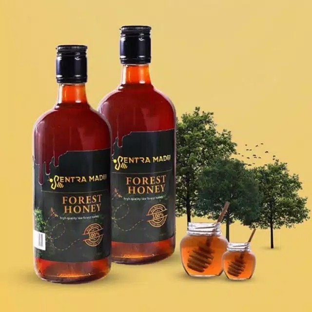 

Madu Hutan | Forest Honey 500ml