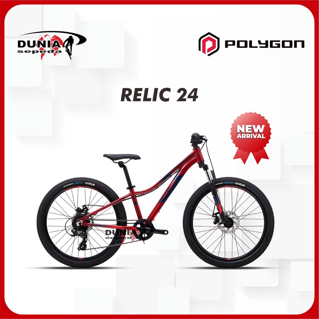 Sepeda Polygon Relic 24 AA