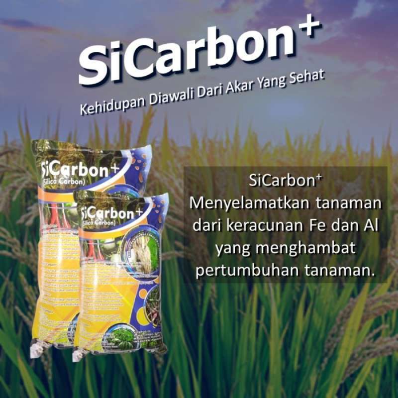 Pupuk Si carbon Sicarbon Silika Carbon 1 kg