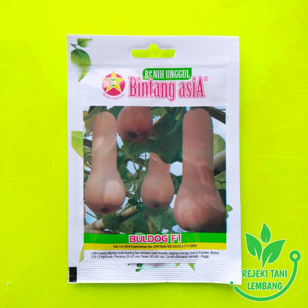 BENIH LABU MADU//BENIH LABU MADU HIBRIDA BULDOG F1 1GR - BINTANG ASIA