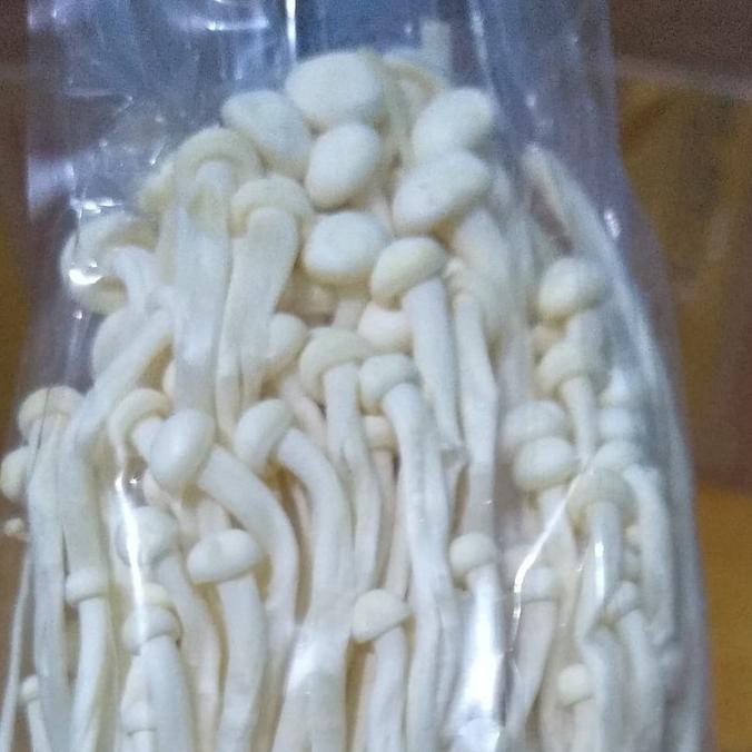 

Diskon JAMUR ENOKI KOREA fresh 100gr Diskon