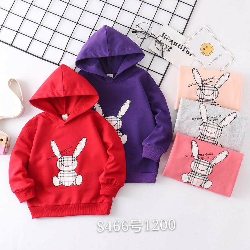 Sweater Hoodie Burberry Rabbit