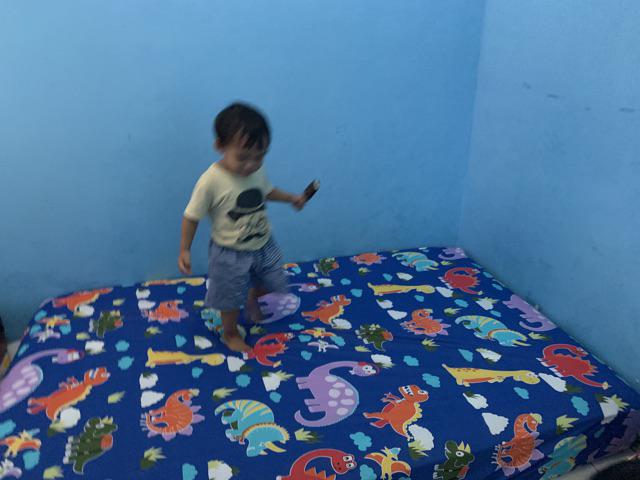 Sprei Motif Dino/jurasik Dan Anak-anak Lain Nya, Katun Lokal Esra Uk Single Queen & King