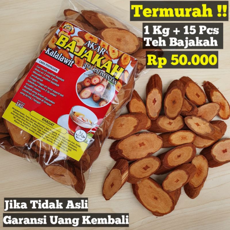 

AKAR BAJAKAH KALALAWIT MERAH ASLI KALIMANTAN 1KG