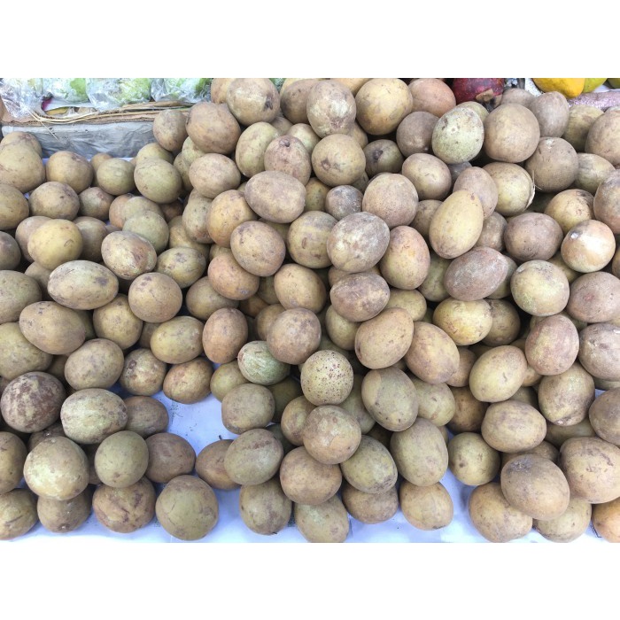 

Buah Sawo/ Sawo Madu Super - 500 gram