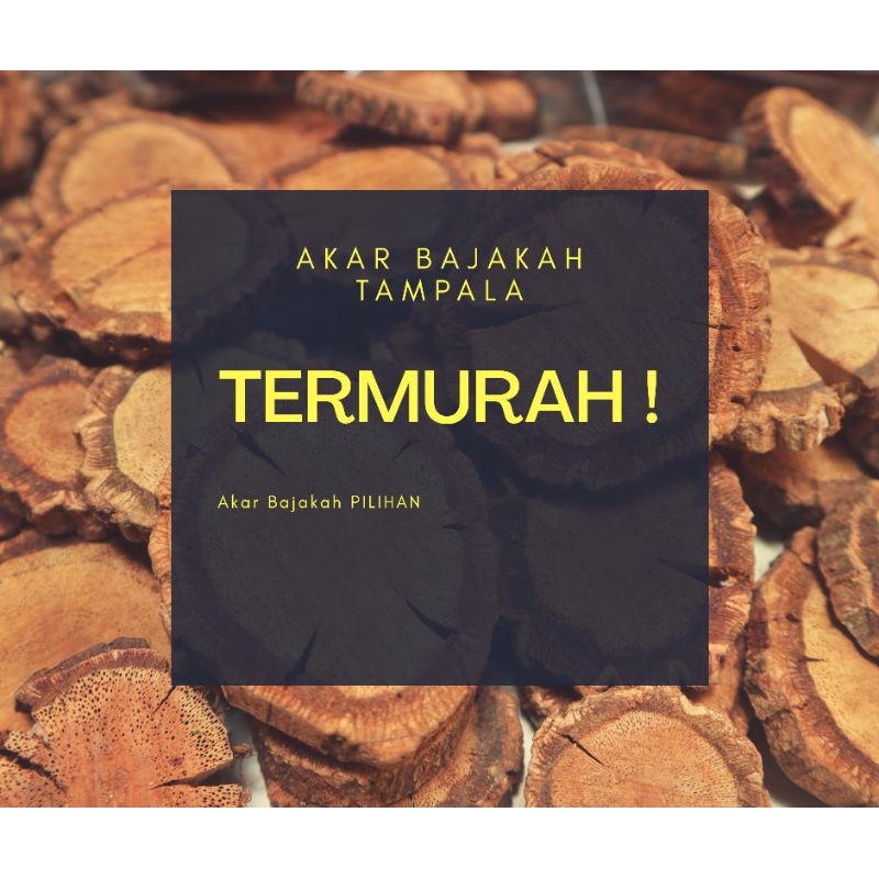 

Akar Bajakah Tampala Grade A 1 kg