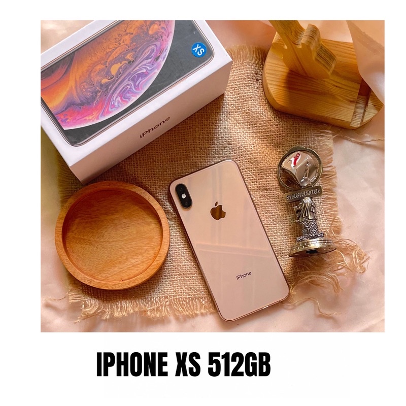 XS MAX 256GB