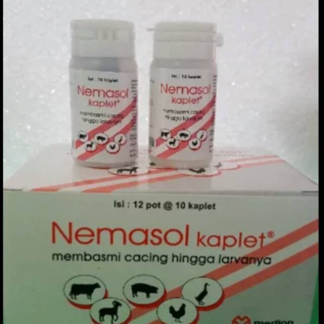 NEMASOL K 10 kaplet obat cacing ayam / pak @ 12 botol