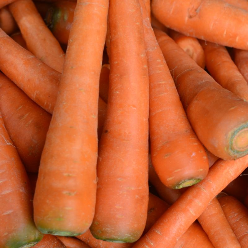 

wortel brastagi Segar 1 Kg