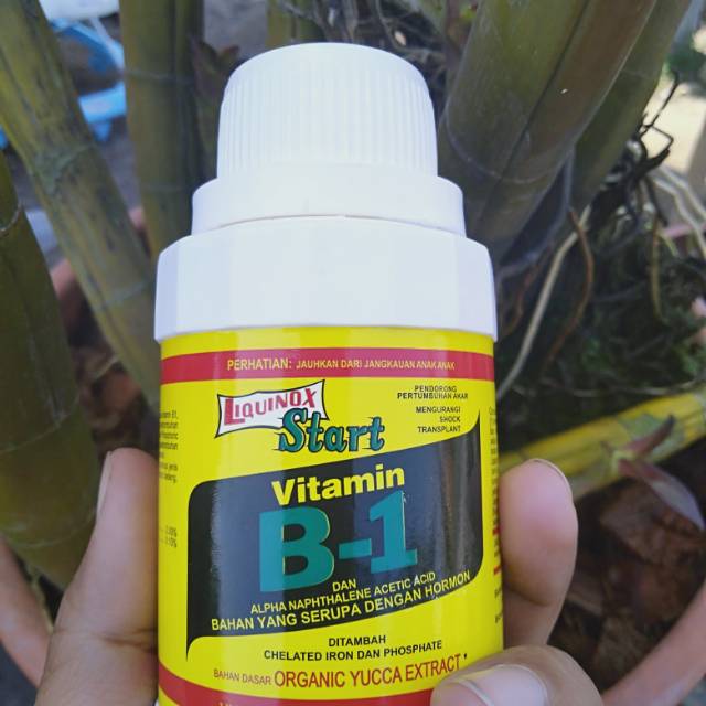 Vitamin B-1 Liquinox