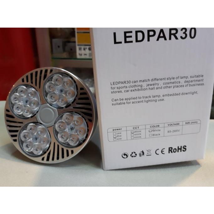 Yamasaki LED PAR30 35 Watt