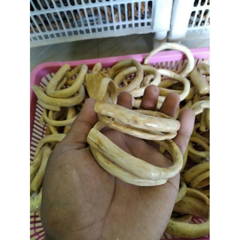 gelang akar bahar putih alami size kantoran/gelang bahar putih origonal