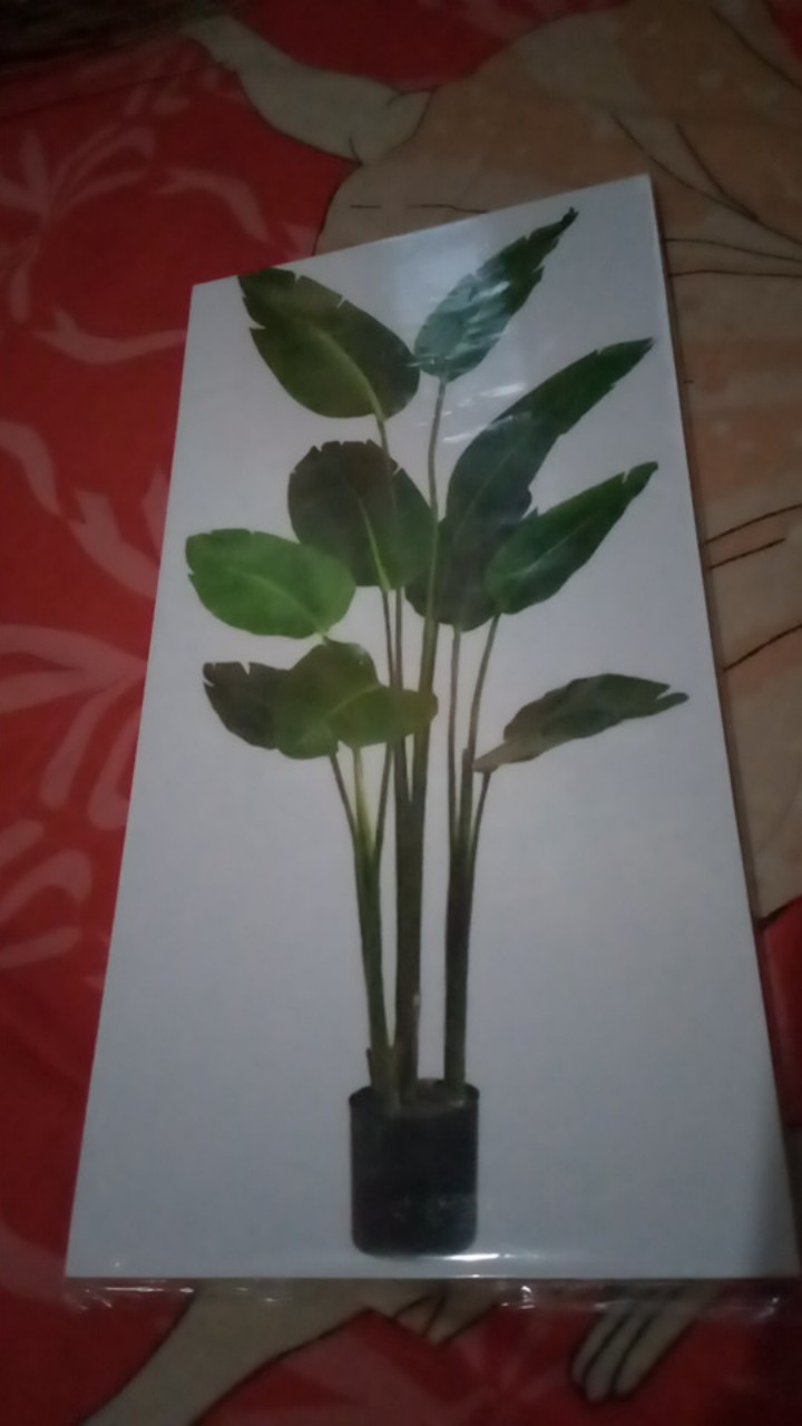 Media Hiasan Dinding Poster Kayu Leaf Dekorasi Rumah 15x30 Lf 22