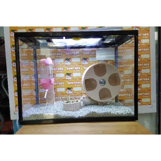 Kandang Hamster Terarium lucu paket kumplit