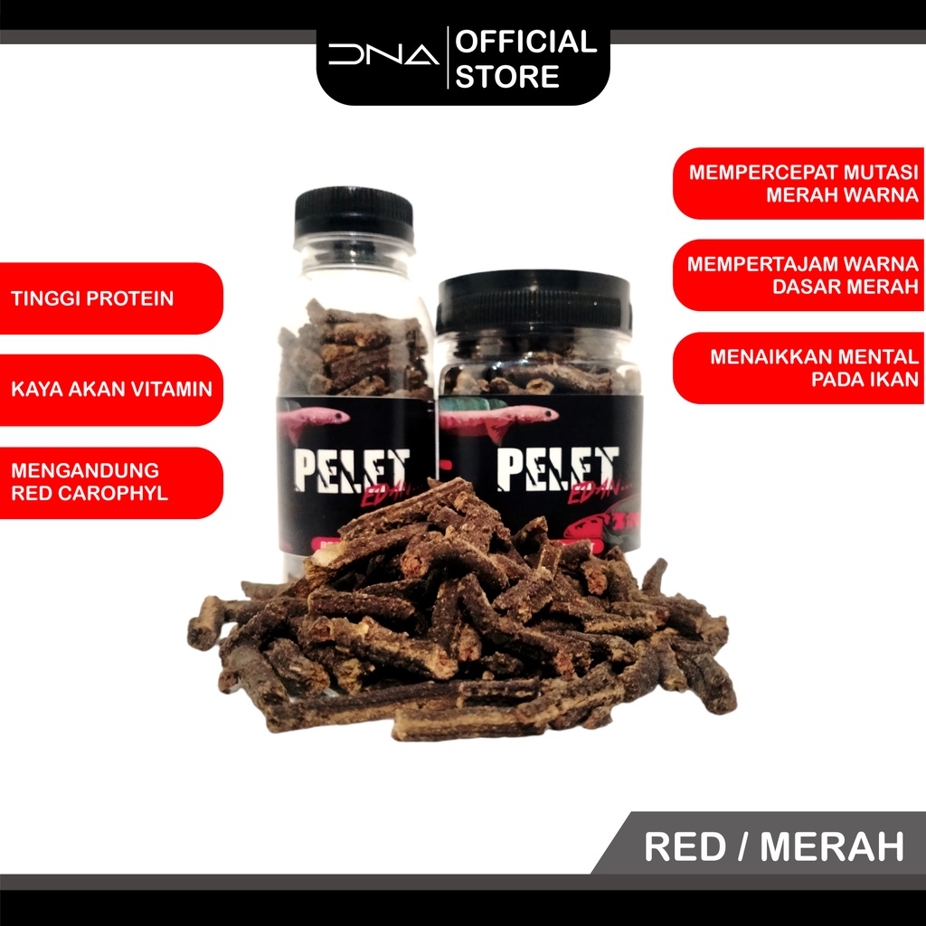 PELET EDAN pakan premium ikan channa yellow blue red pro