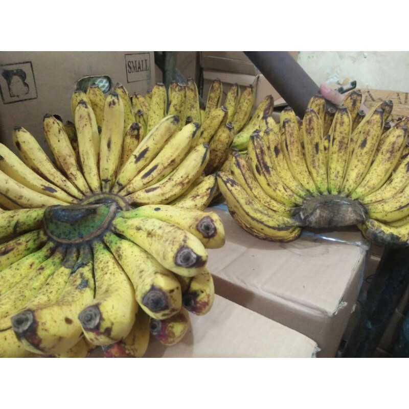 

pisang barangan