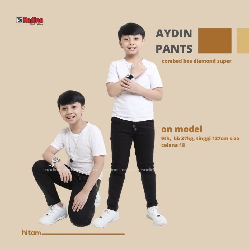 aydin pan