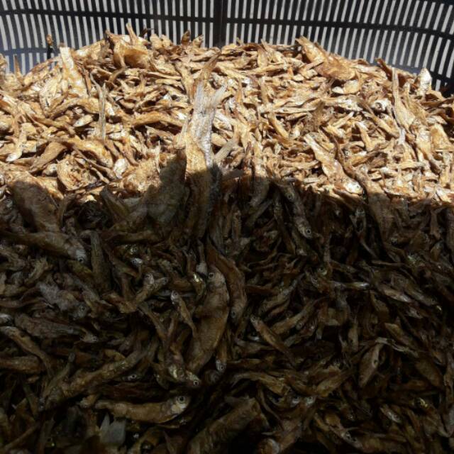 

Salai bilis kal-bar kapuas hulu