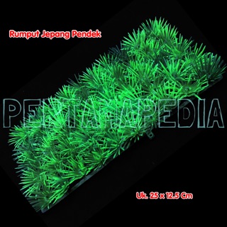  Rumput  Plastik  Rumput  Aquarium  Rumput  Artificial Rumput  