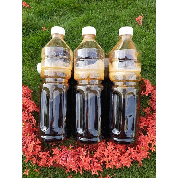 

Madu Asli Nektar Akasia Carva 1KG