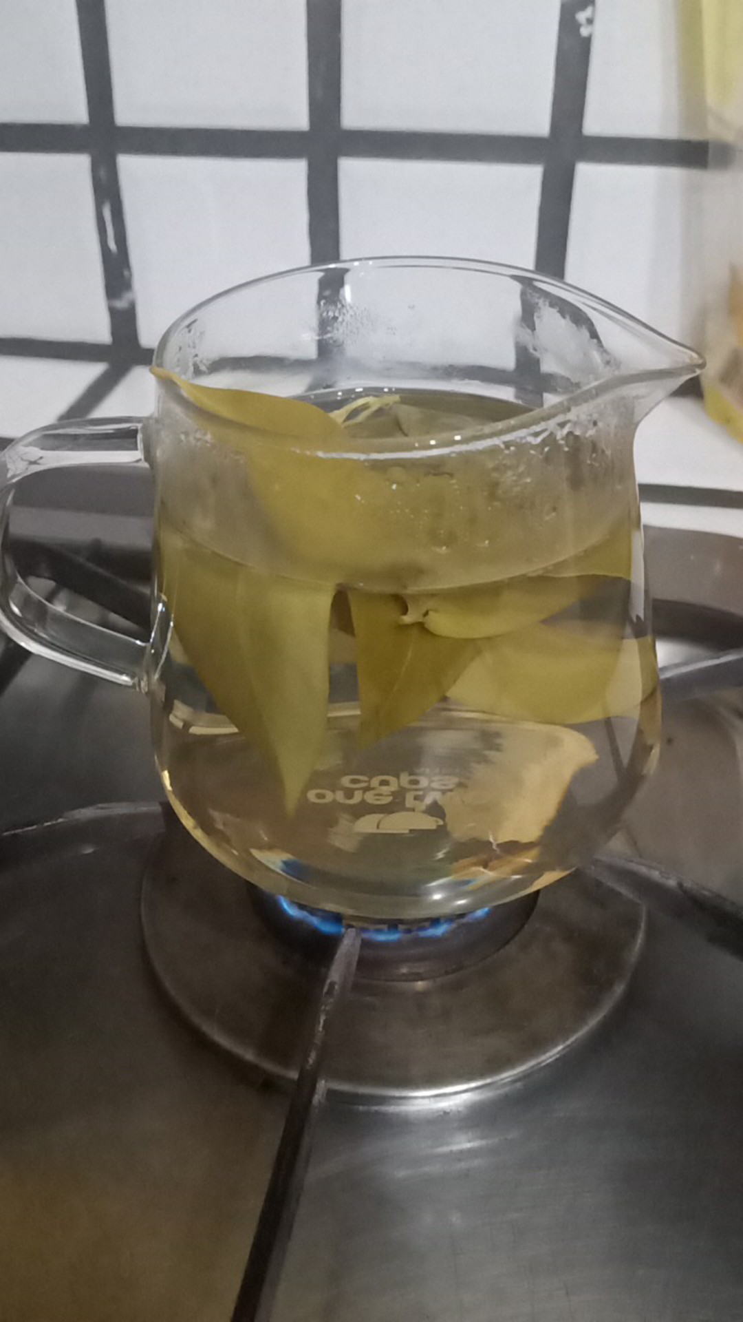 Teko Kopi Kaca Barista Coffee Maker Pot Kettle 300 600 Ml Peralatan Kopi Perlengkapan Cafe Onetwocup