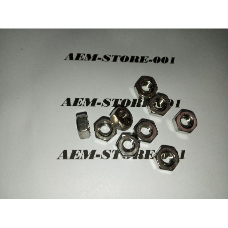 Mur 1/4&quot; stainless 304