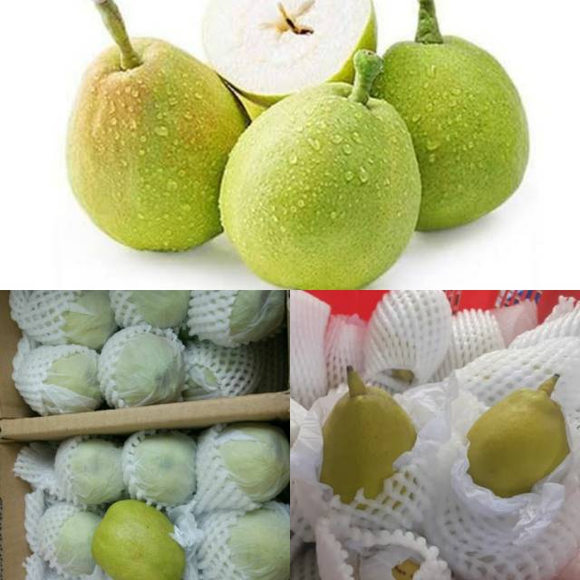Buah Pear/pir xiang lie segar dan manis 1kg