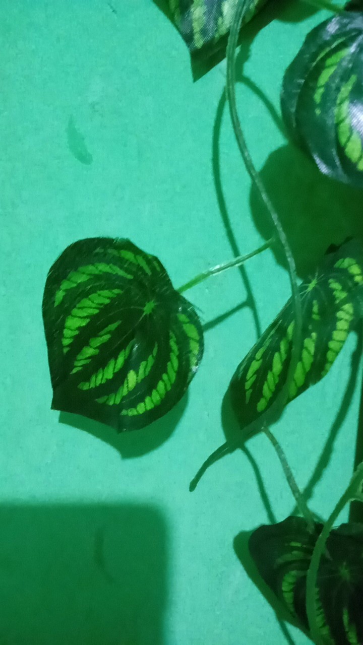 Daun Rambat Plastik Palsu Artificial Hiasan Dekorasi Dinding/daun Artificial