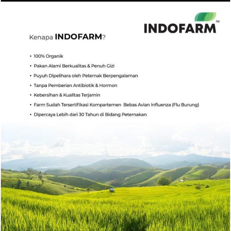 

RB Telur Ayam Kampung Omega Indofarm 20 pcs Original