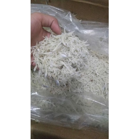 

Teri Medan 1Kg teri nasi super