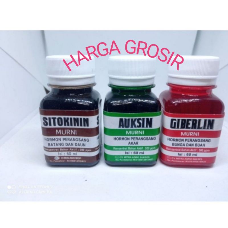 SUPERGIB GA3 ASLI 100% ORIGINAL IMPORT PERANGSANG TUMBUHAN