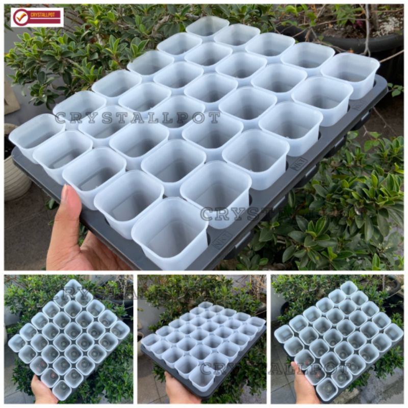 1 SET TRAY LUBANG 30 + POT NKT KOTAK 5CM BENING TRANSPARAN 30 PCS | TRAY SEMAI BIBIT