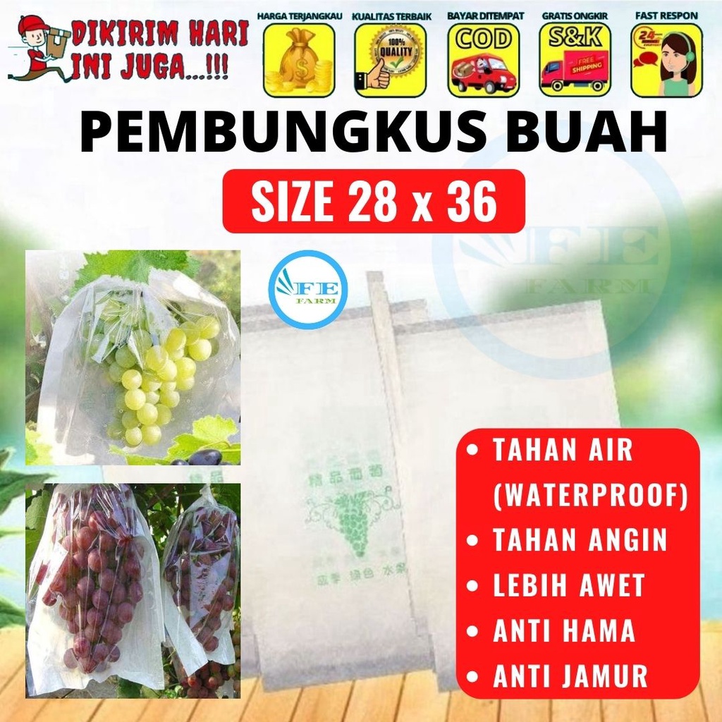 Pembungkus Buah Tembus Pandang Fruit Cover Anggur Transparan Waterproof 28 x 36 FEFARM