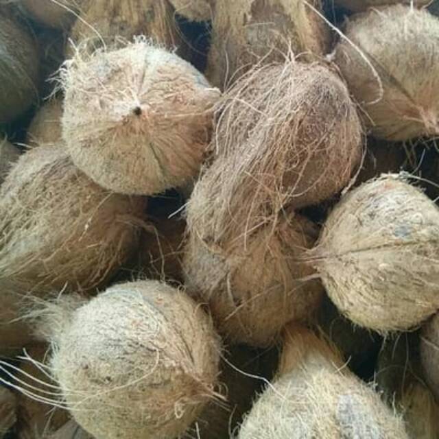 

Kelapa Santan