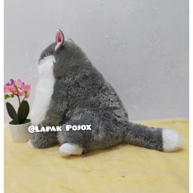 Boneka Kucing Gendut Lucu