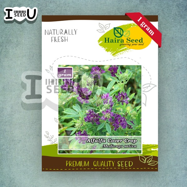 Haira Seed Bibit-Biji Rumput Alfalfa