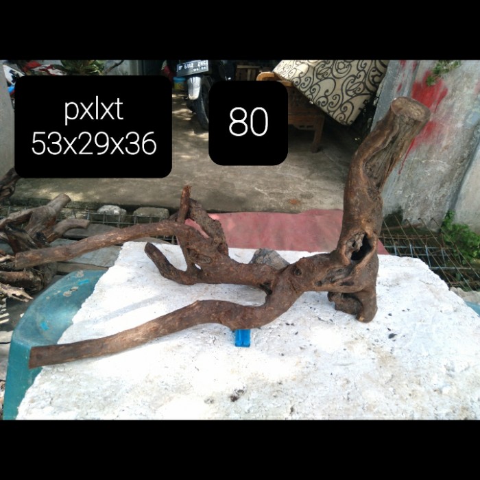 santigi karang aquascape 80