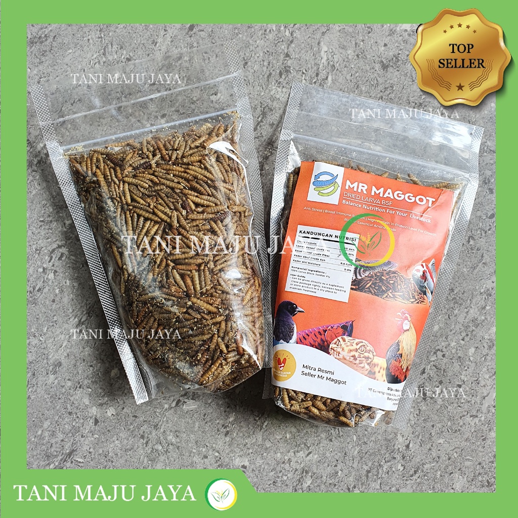 Dried Maggot BSF Grade A+ 100gr Ulat Magot Kering Pakan Ikan Burung Kura