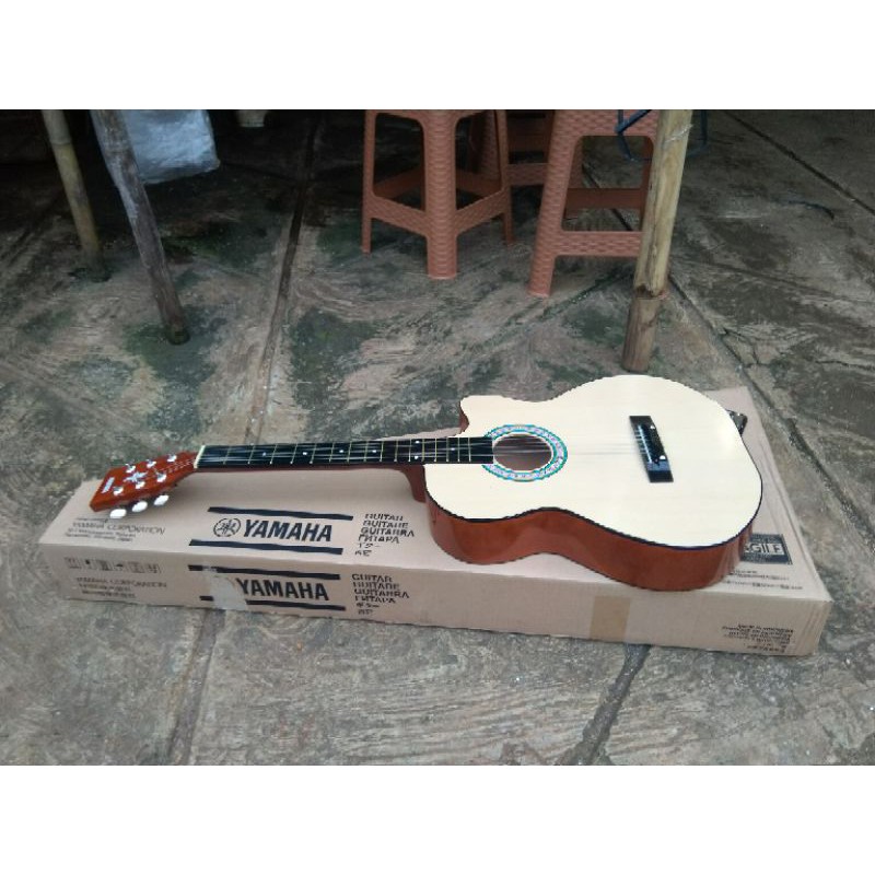 gitar akustik pemula gitar murah